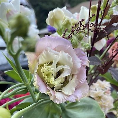 Birdies Blooms NW