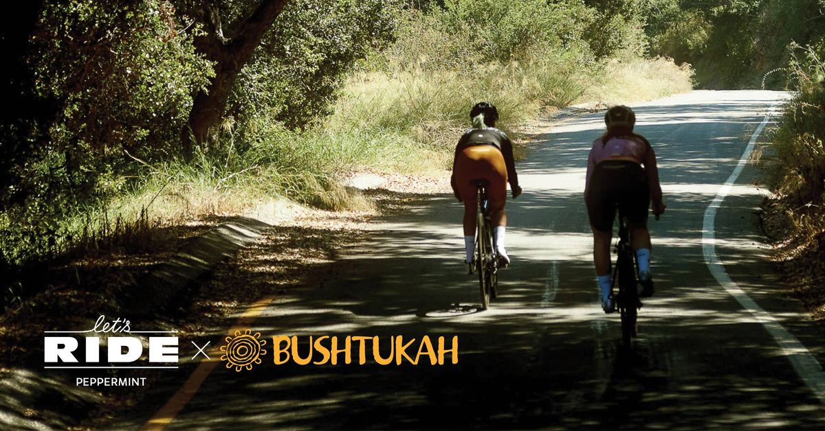 Let's Ride (Road) X Bushtukah