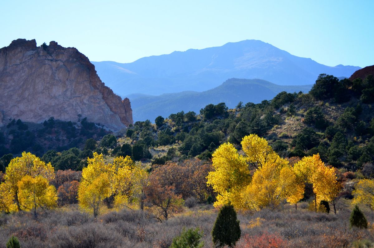 Leaf Peepers