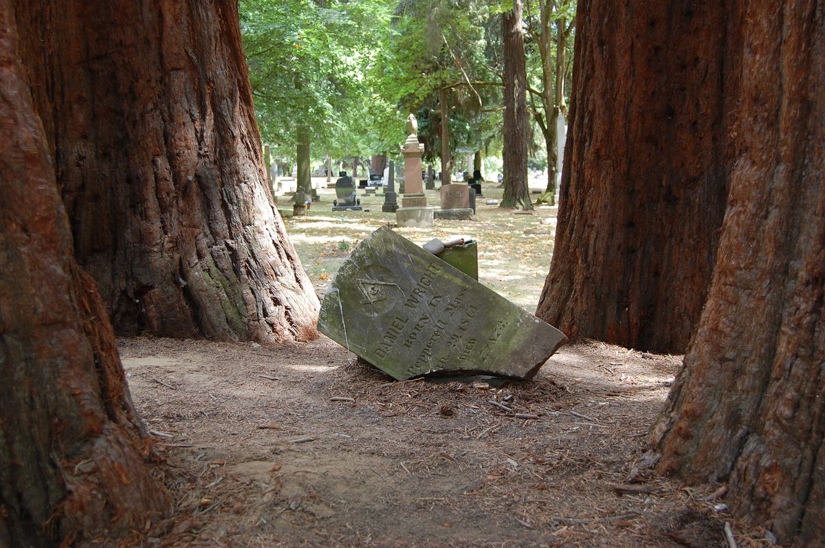 Guided Tour: Stories in Stone