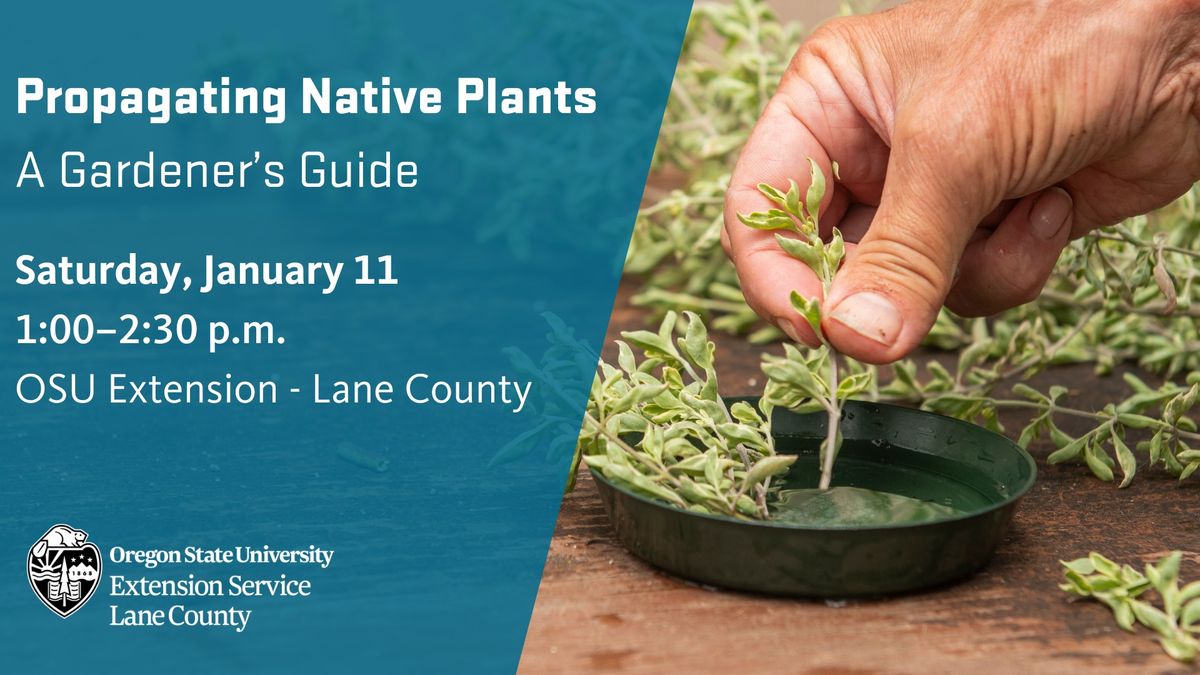 Propagating Native Plants: A Gardener's Guide