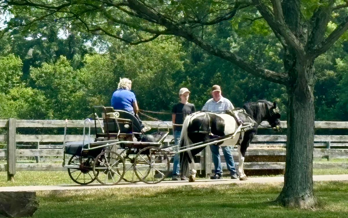 Play Date at Park, Open Schooling for COCD