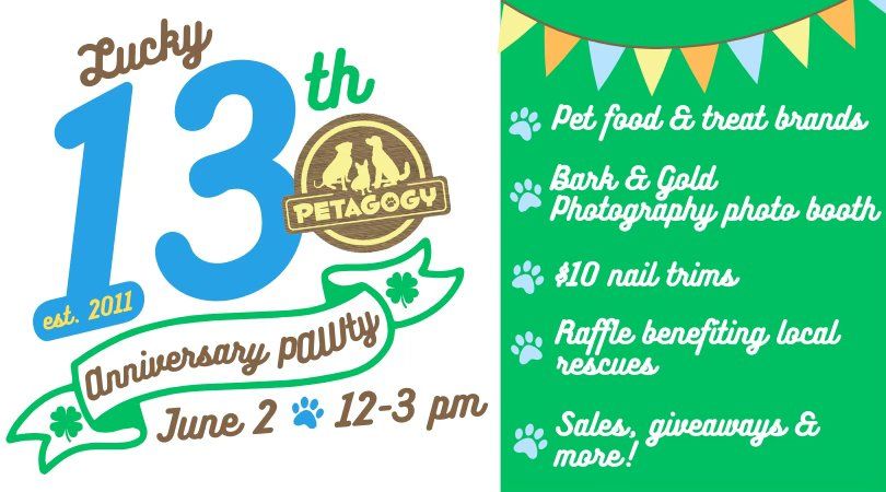 Petagogy\u2019s (Lucky) 13th Anniversary PAWty & Pet Vendor Fair