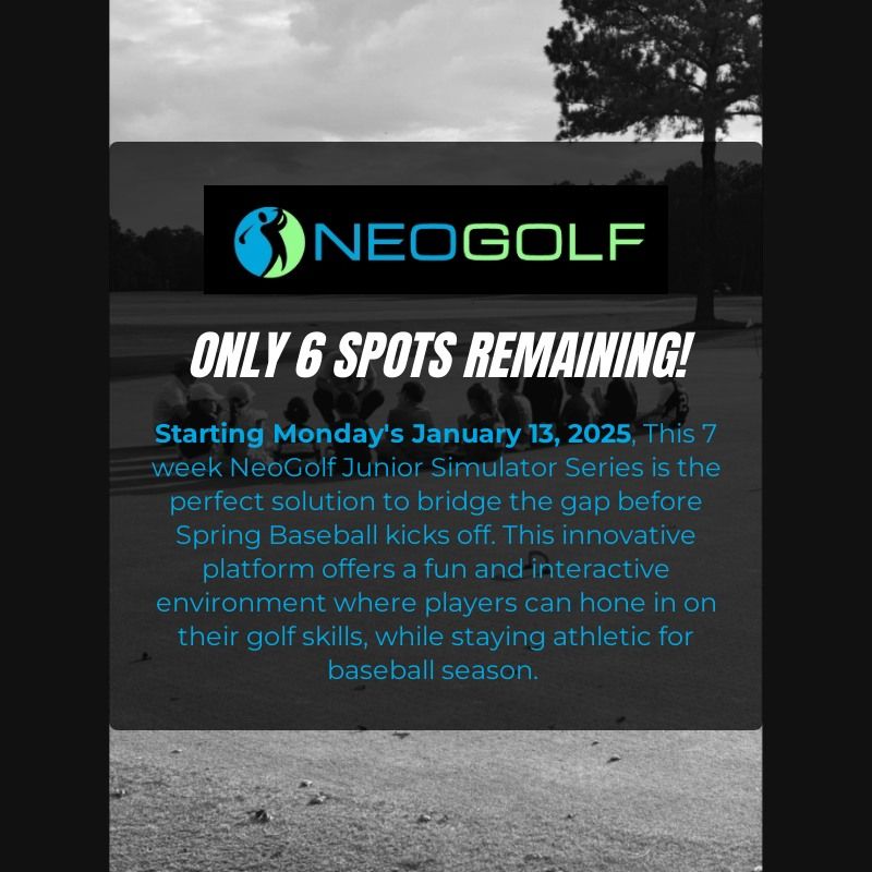 NeoGolf Junior Simulator Series