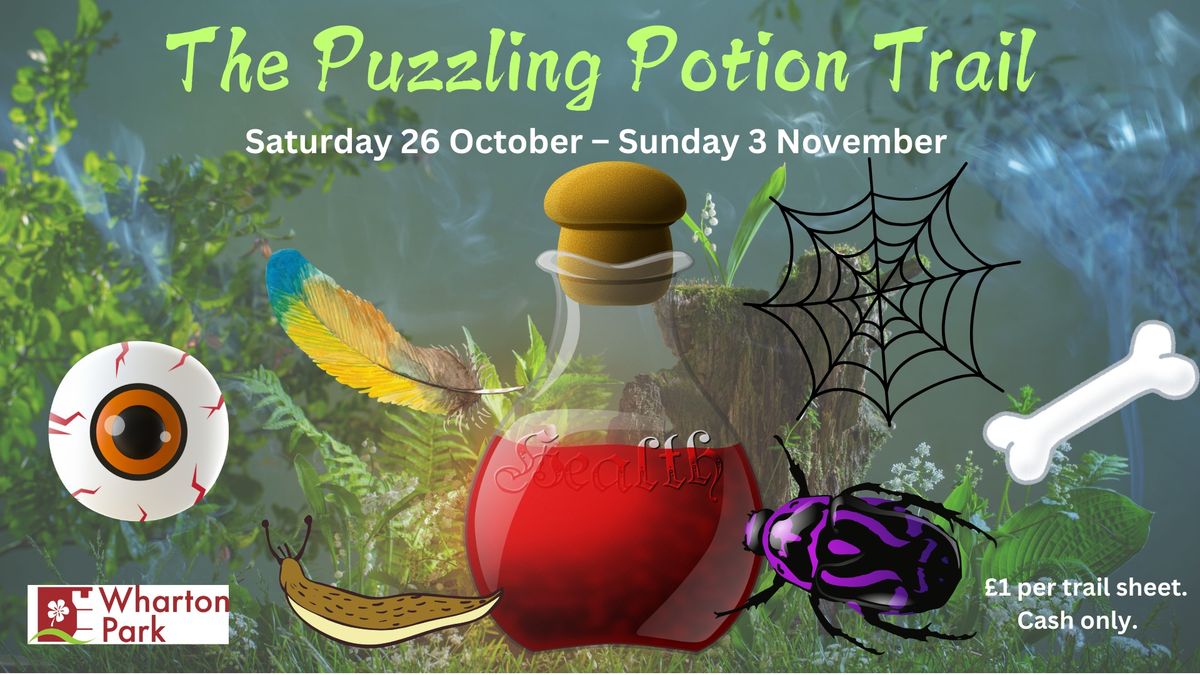 The Puzzling Potion Trail