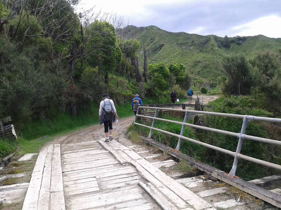 Whangamomona Road Walk