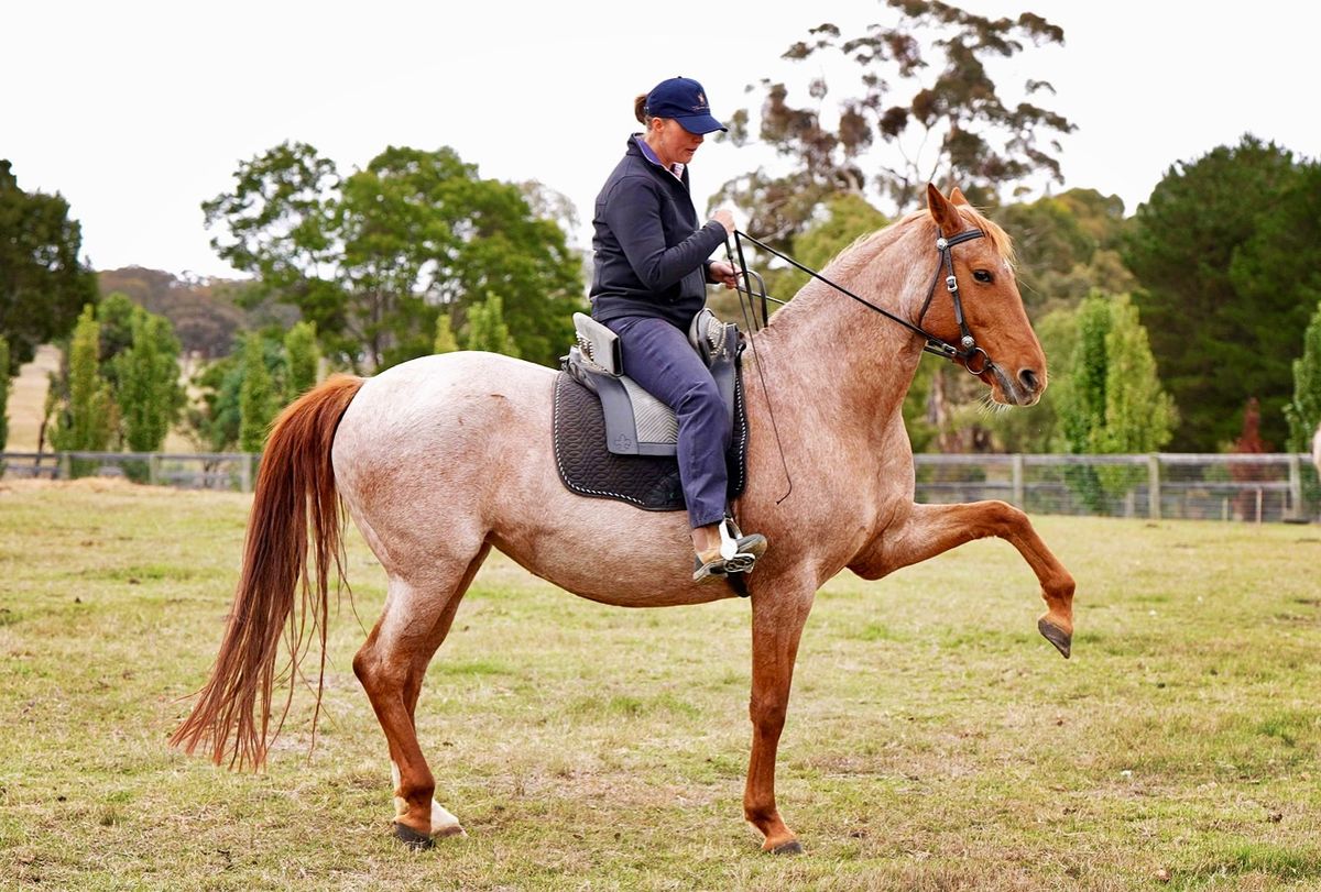 EMPOWERED HORSEMANSHIP Weekend Workshops