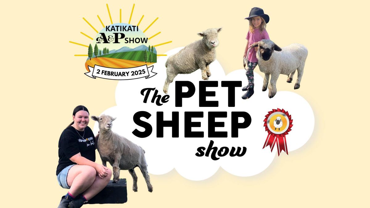 Pet Sheep show