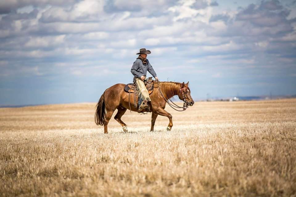 Jim Anderson Horsemanship Clinic