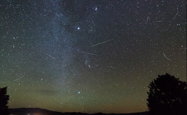 Orionids in the Night Sky