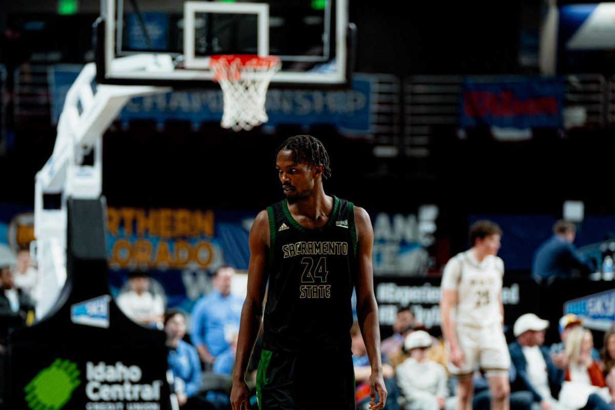 Montana State Bobcats at Sacramento State Hornets Mens Basketball