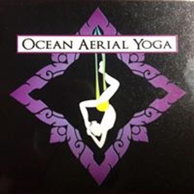 \u53f0\u5357 \u6d77\u6d0bAerial Fly Yoga\u2022Air Yoga\u2022Bungee fly \u2022TRX \u2022\u7a7a\u4e2d\u745c\u73c8\u65d7\u8266\u9928