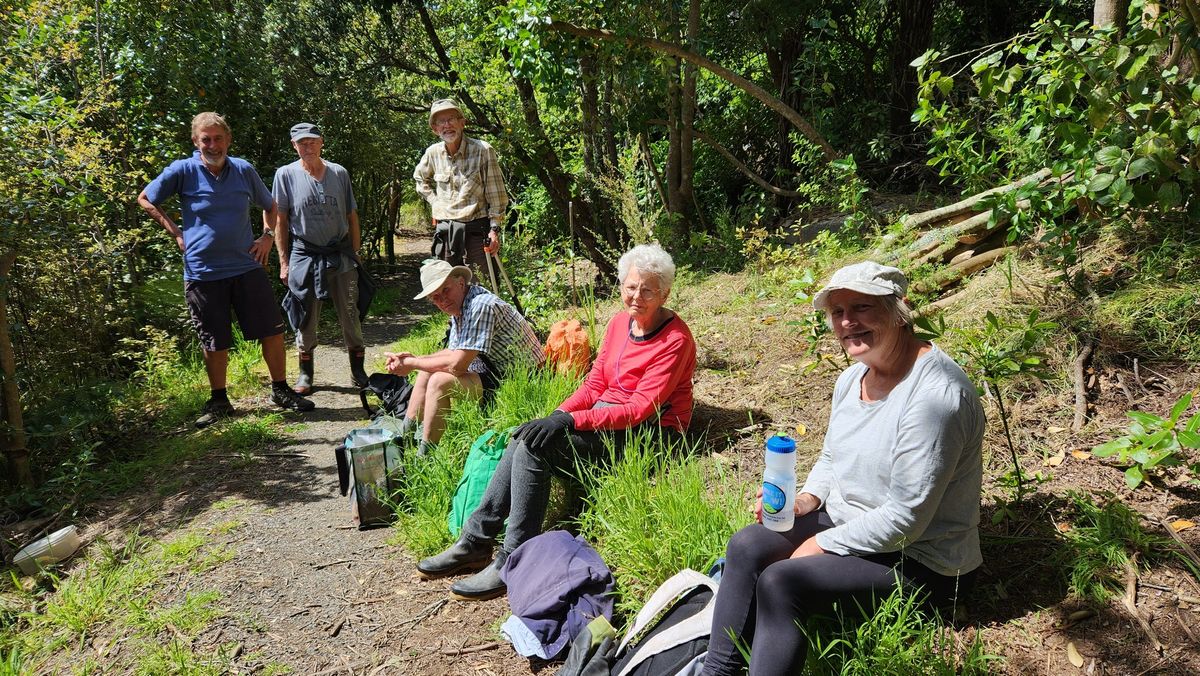 GCT Friends of Oratau Reserve Volunteer Morning