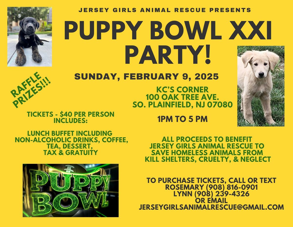 Puppy Bowl Party