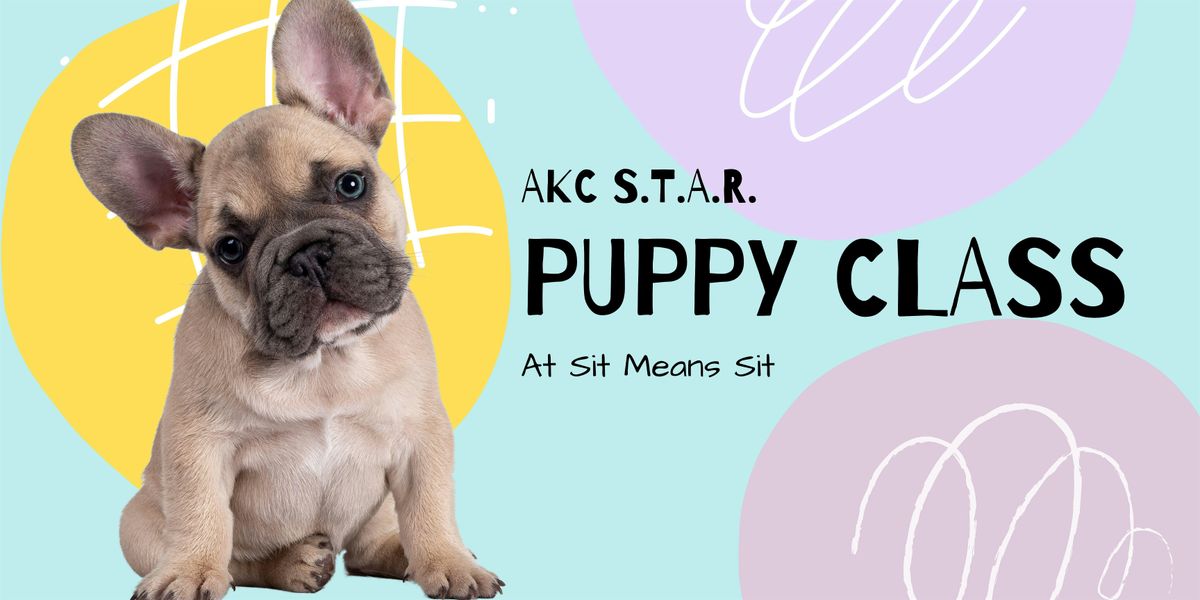 AKC S.T.A.R. Puppy Class - May 19th