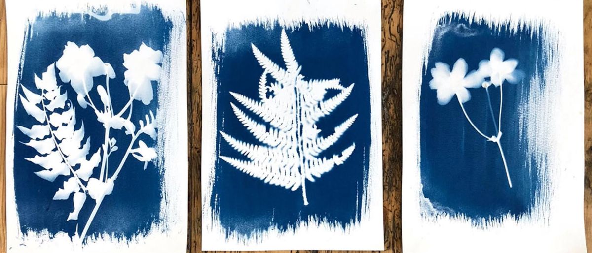 Meet and make: cyanotype printing at the Lady Lever