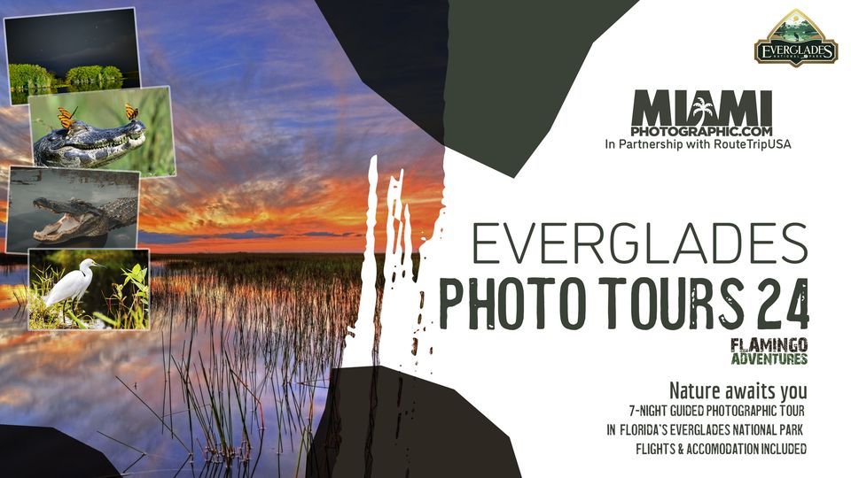 Everglades 7 Night Photo Tour