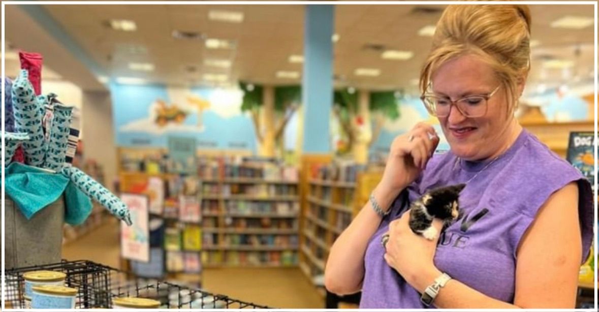 Barnes & Noble book fair benefiting Mighty Meow Kitten Rescue