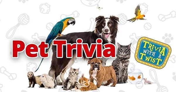 "Pet" Trivia at Wing's Beavercreek! This one is for all you Animal Lovers!