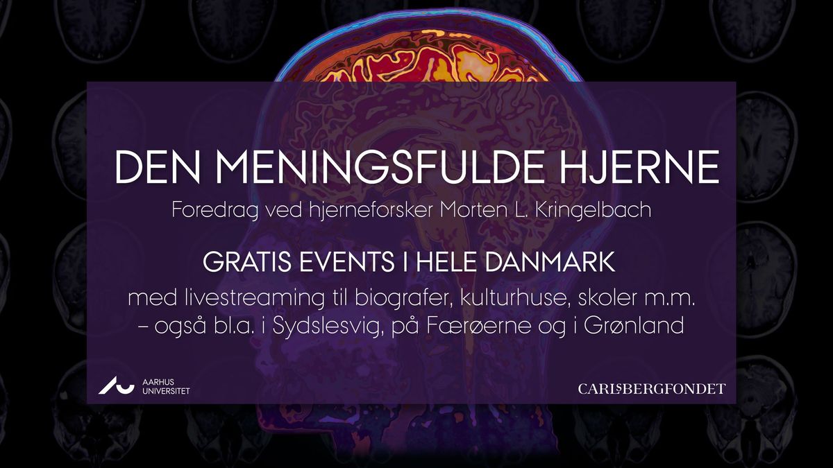 Livestream - Den meningsfulde hjerne