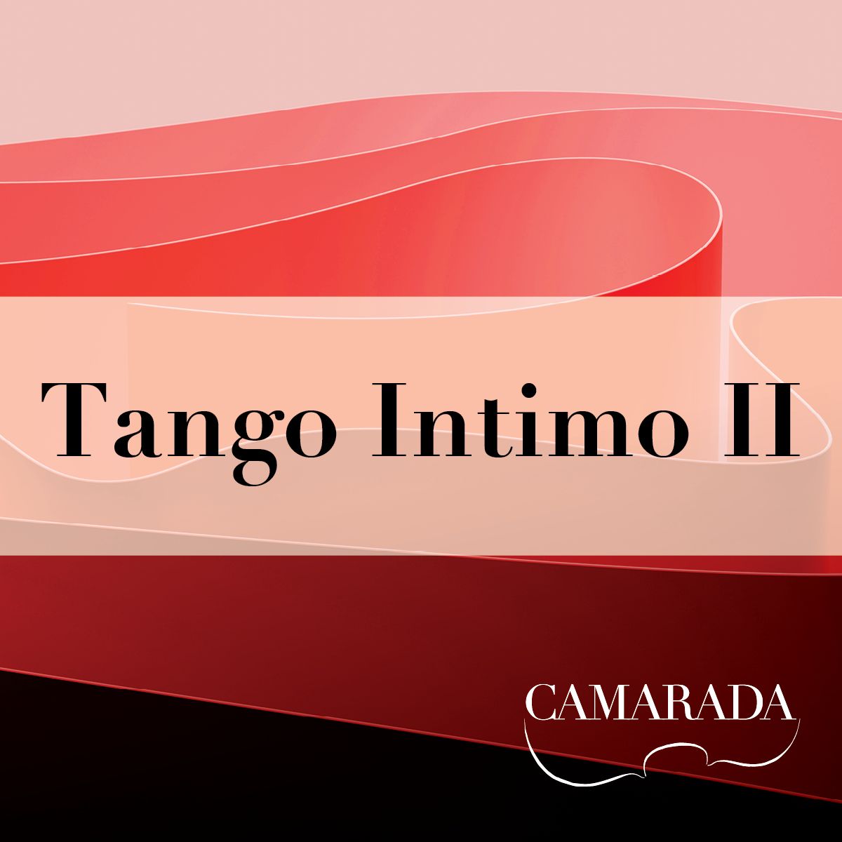 Camarada Tango Quartet: The Art of Tango II