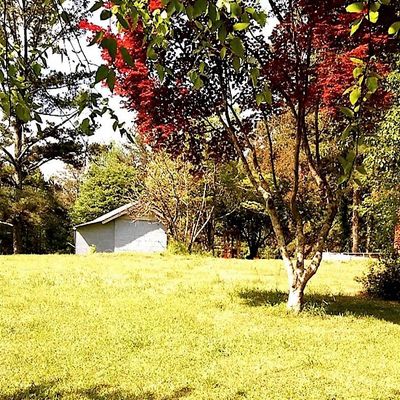 Funny Fence Farm  Inc.