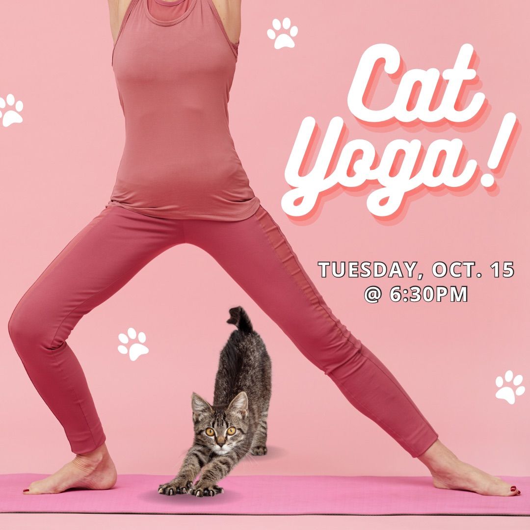 Cat Yoga!