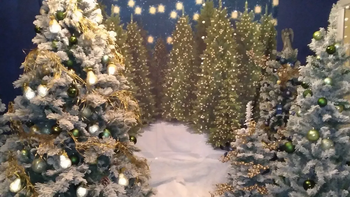 Annual Christmas \ud83c\udf84 Party in Windcrest