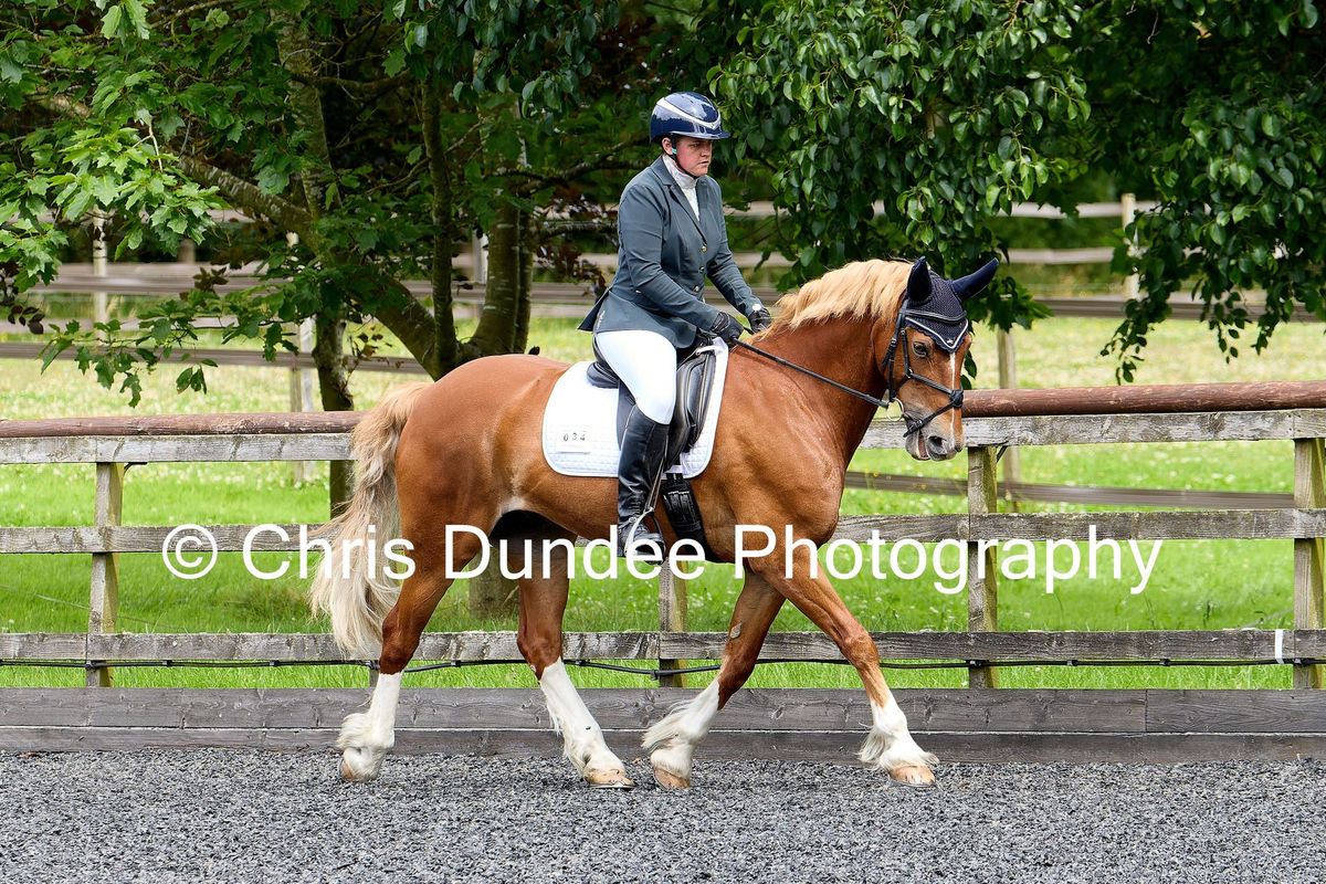 Unaffiliated Dressage