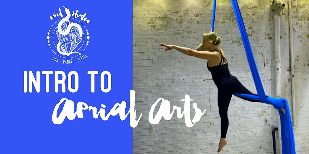 Intro to Aerial Arts Teaser Class