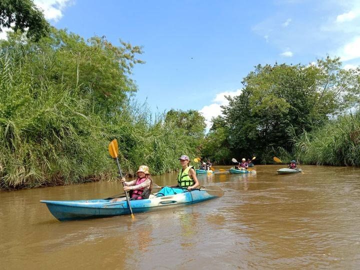 Scenic Mae Taeng Forest Reserve Kayaking