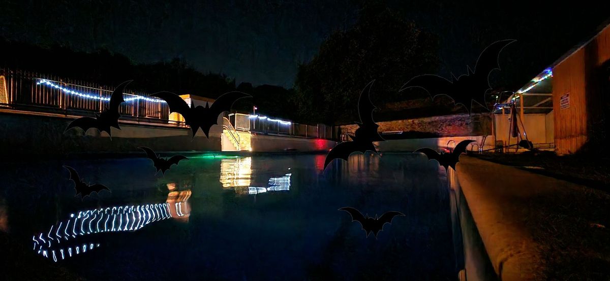 Bat night swim