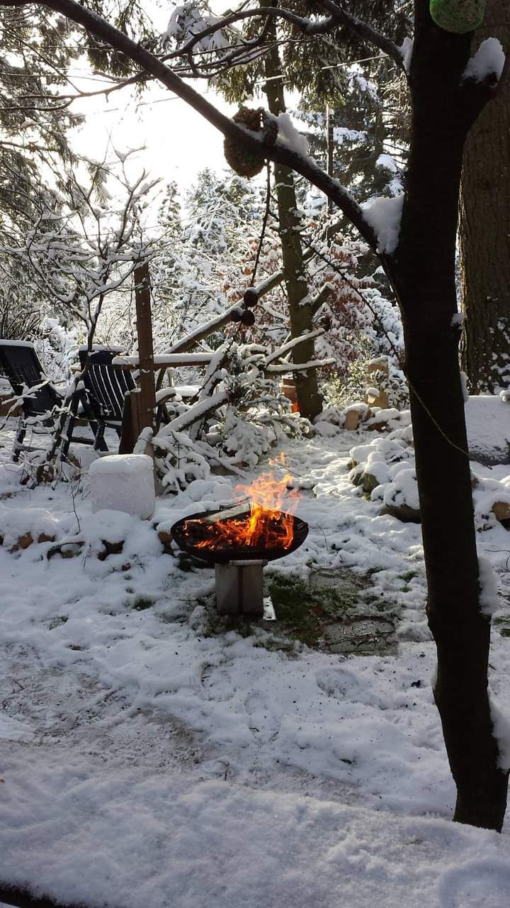 Feierliches Weihnachtsbaumsetzen bei den Zweisiedlern