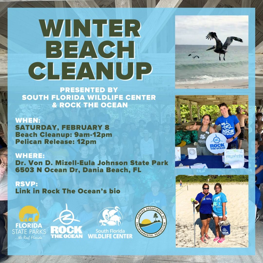 Winter Beach Cleanup Presented by South Florida Wildlife Center & Rock The Ocean