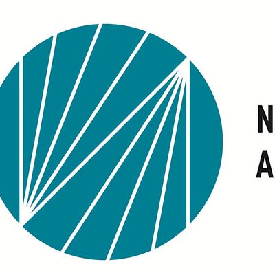 The New York City Alliance Against Sexual Assault