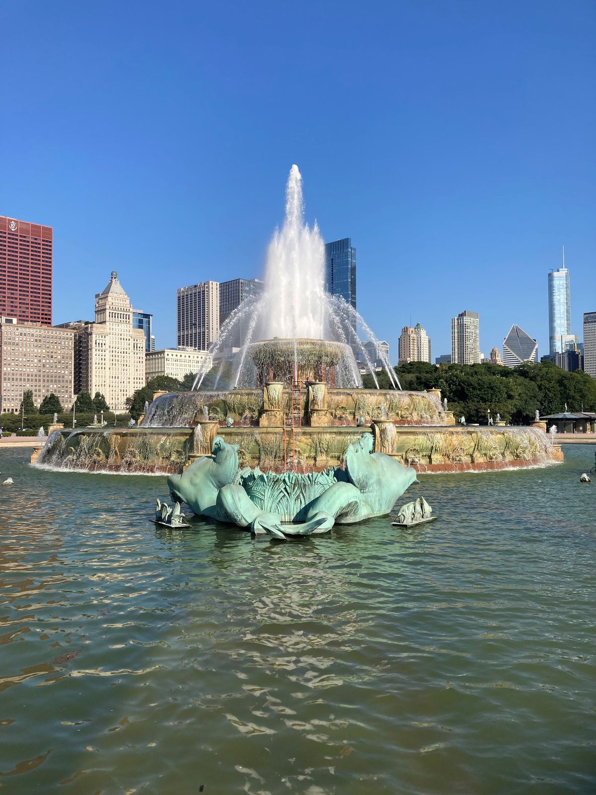 Switch on Summer at Buckingham Fountain 2024