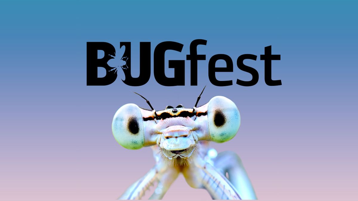 BUGfest 2024