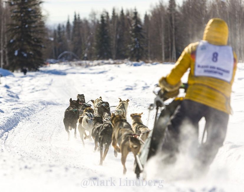 Lotto Alaska Open North American Championship Race