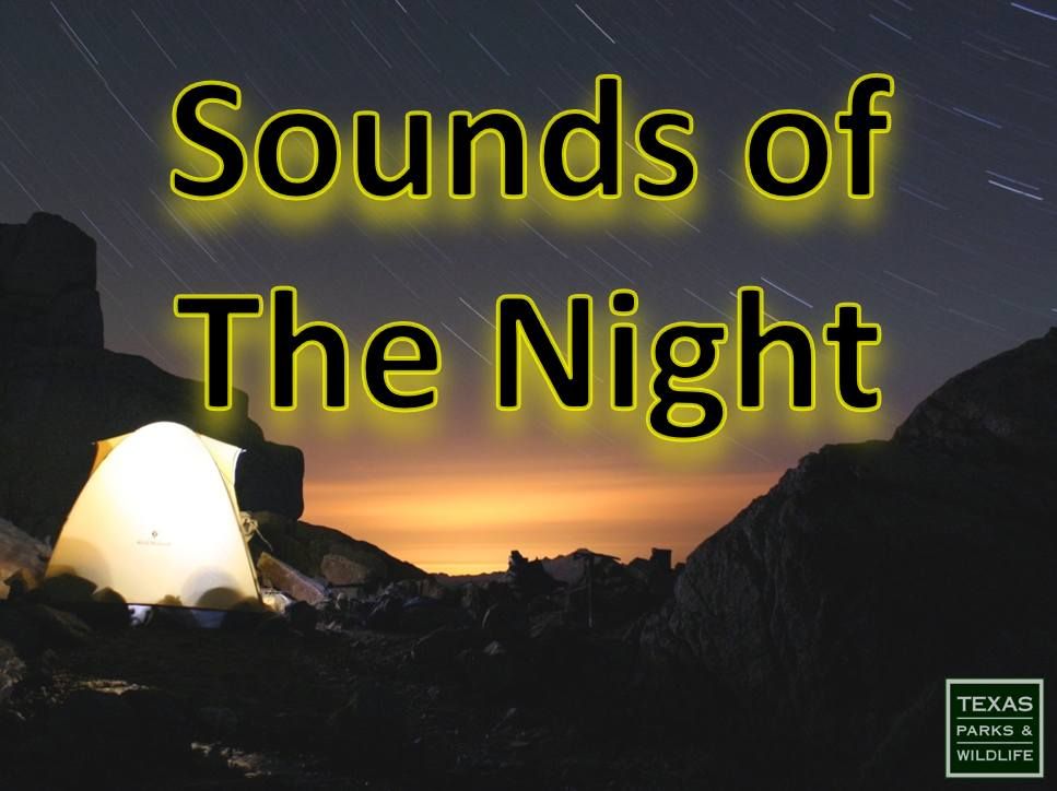 Sounds of the Night & Guided Night Walk