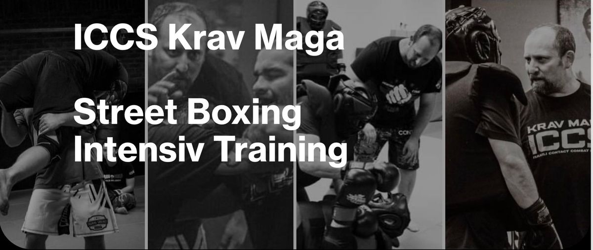 StreetBoxing Intensiv: ICCS Krav Maga (Block 1)