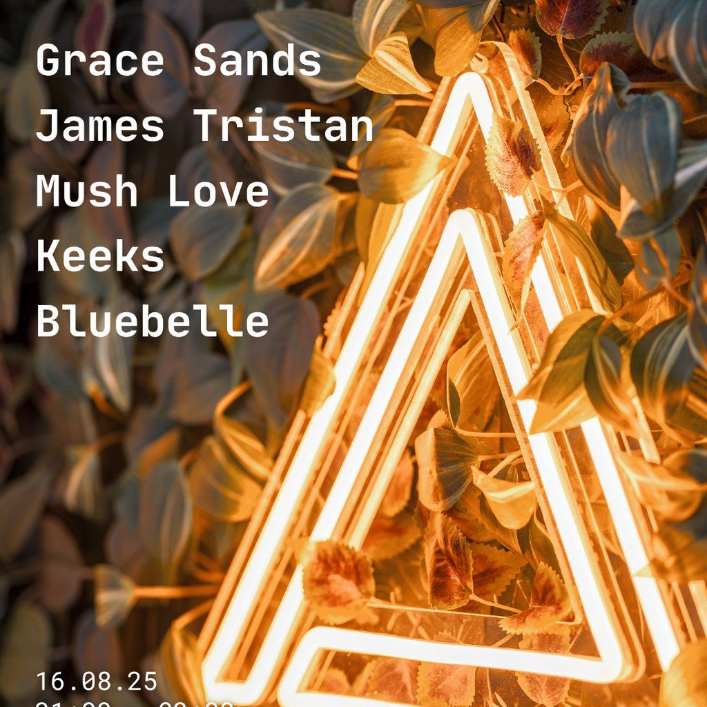 Electroground at Arc Space, Hockley