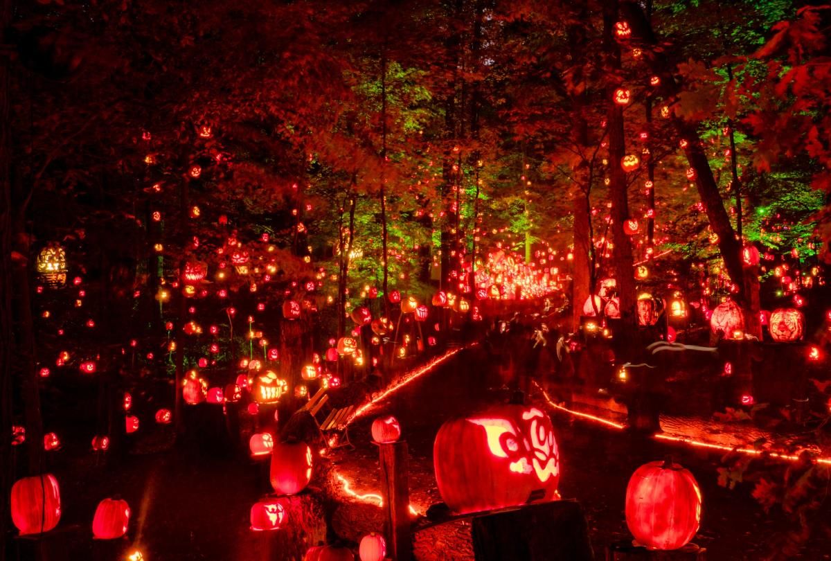 Jack O'Lantern Spectacular at Iroquois Amphitheater