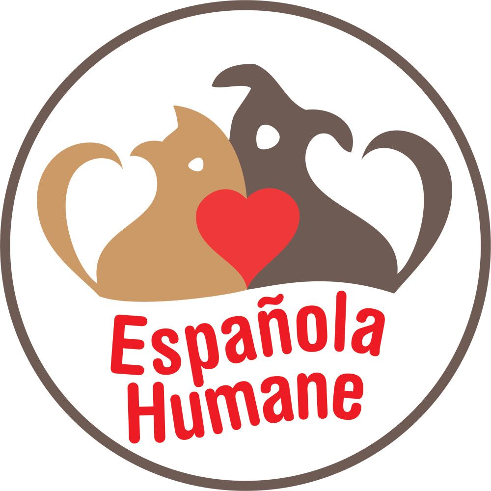 Joan Osborne & KT Tunstall