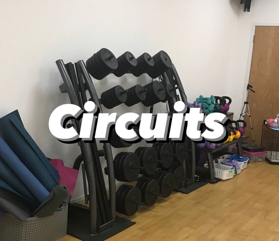 Circuits 