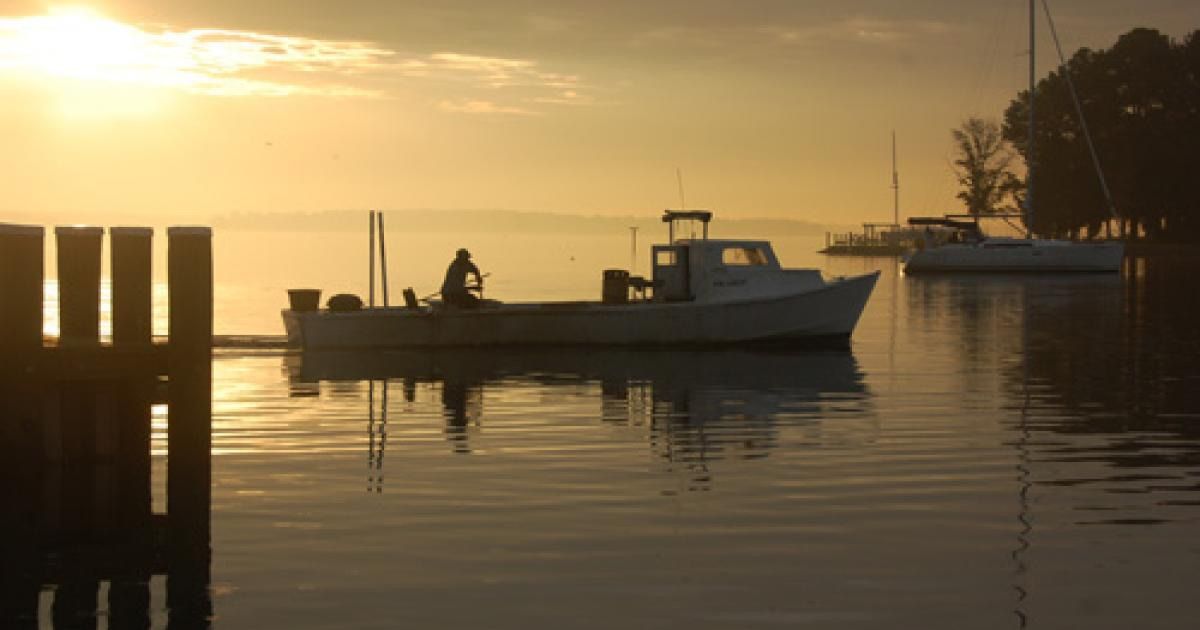 Farming The Waters 