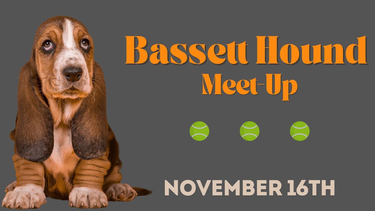 Bassett Hound Meet-Up @ Dirtbag