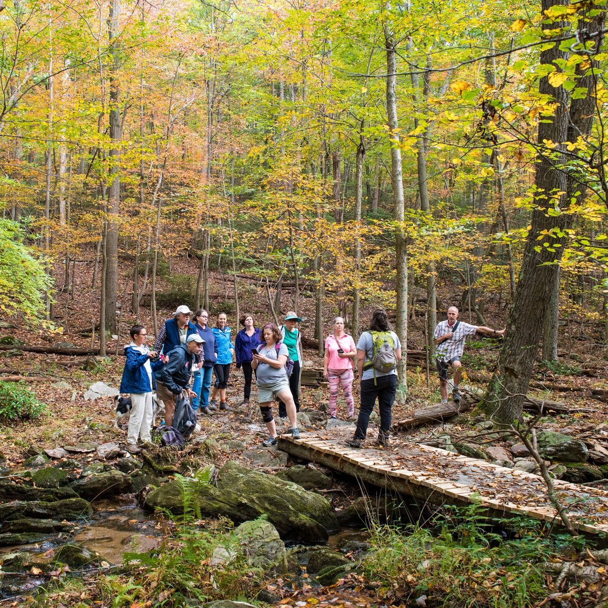 Walk in the Woods: Frederick Municipal Forest