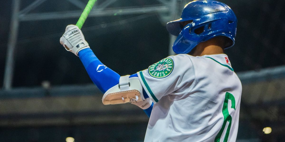 Somerset Patriots vs. Hartford Yard Goats