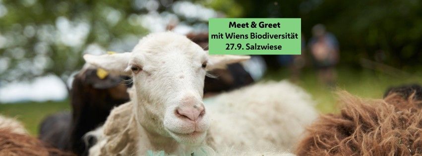 Meet & Greet mit Wiens Biodiversit\u00e4t