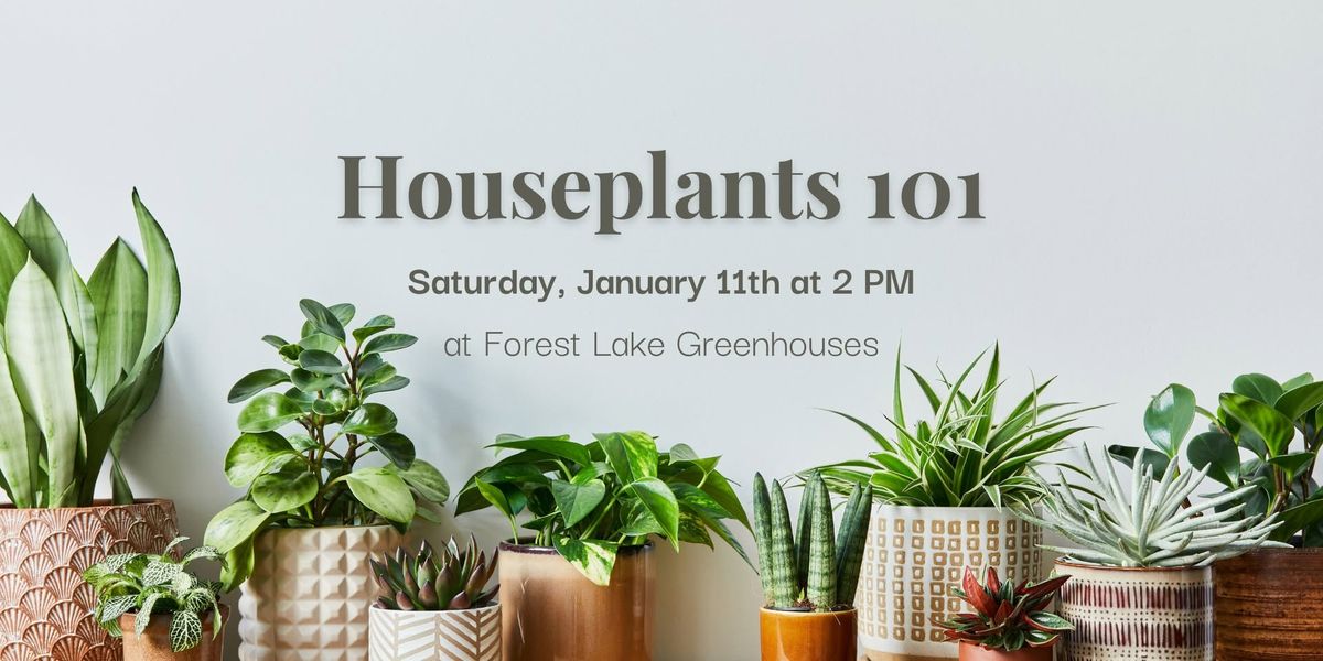 Houseplants 101